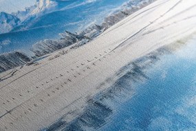 Stampa su tela – Paesaggio innevato nelle Alpi