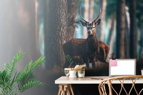Carta da parati – Cervo nel bosco