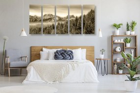Quadri 5 pezzi – Montagne congelate in versione seppia