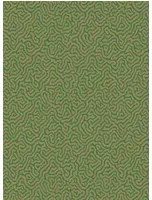 Cole & Son Carta da parati Vermicelli - Green/ Gold