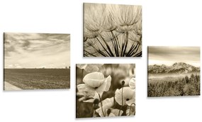 Set di quadri – Paesaggio seppia con fiori