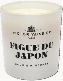 Candela profumata Figue du Japon