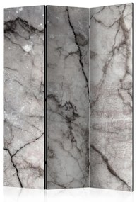 Paravento Marmo grigio - texture di marmo grigio con disegni scuri
