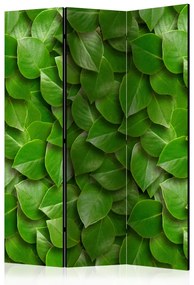 Paravento design Giardino segreto - composizione di texture vegetali con foglie verdi