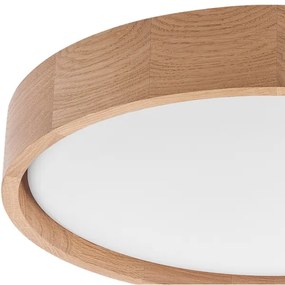 Brilagi - Lampada LED da soffitto MANAROLA SMART LED/24W/230V + DO Tuya