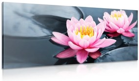 Quadro su tela – Fiore di loto nel lago