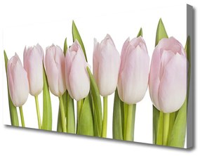 Quadro su tela Tulipani, fiori, piante 100x50 cm