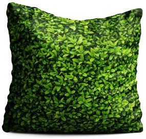 Cuscino verde Ivy, 40 x 40 cm - Oyo home