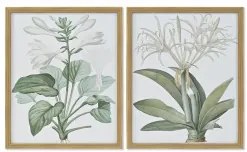 Quadro DKD Home Decor 43 x 3 x 53 cm Piante botaniche (2 Unità)