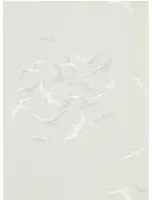 Seevögel  Tapete Larina von Sanderson - Gull