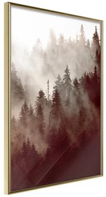 Poster  Forest Fog  Cornice Quadri Cornice d'oro, Larghezza x Altezza Home decor 20x30