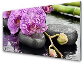 Quadro in vetro Spa Zen Orchid 100x50 cm