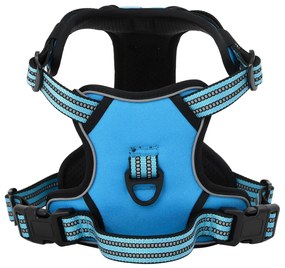 Pettorina Per Cani Con Guinzaglio E Collare Regolabile Blu S /