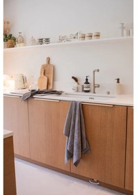 Set di strofinacci 2 pz 50x50 cm Essentials – Tiseco Home Studio