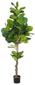 Pianta Decorativa Poliuretano Cemento Ficus 200 cm
