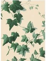 House of Hackney Carta da parati Hedera - Viridian