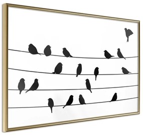 Poster  Birds Council Meeting  Cornice Quadri Cornice d'oro, Larghezza x Altezza Home decor 45x30