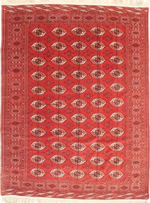 Turkmen Tappeto persiano 230 x 300 Rosso (Iran) Annodato A Mano