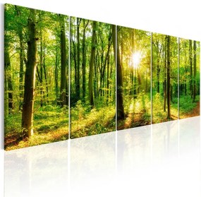 Quadro Magic Forest  Colore Marrone, Dimensioni e Misure 200x80