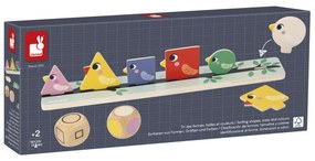 Identificazione Di Forme, Dimensioni E Colori - Uccelli