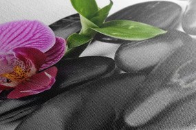 Quadro su tela – Pietre per il benessere massaggio