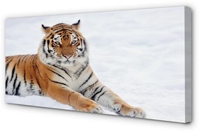 Quadro su tela Snow invernale di tigre 100x50 cm