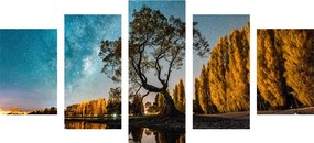 Quadri 5 pezzi – Albero sotto il cielo stellato