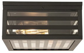 Plafoniera da esterno moderna in vetro nero 2 luci IP44 - Reims