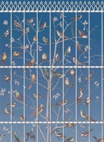 Fornasetti Tapete Uccelli von Cole and Son - Cerulean Sky
