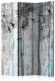 Paravento separè Assi rustici - texture di vecchi assi di legno con motivi di uccelli