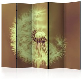 Paravento  dandelion (sepia) II [Room Dividers]  Colore ---, Dimensioni e Misure 225x172