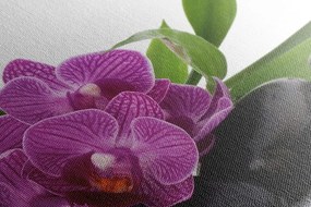 Stampa su tela – Orchidea viola in natura morta Zen