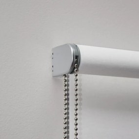 Tenda a rullo oscurante Must bianco 5x250 cm