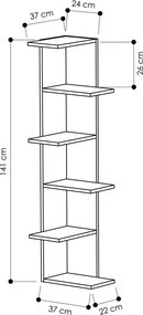 Biblioteca bianca Saso - Homitis