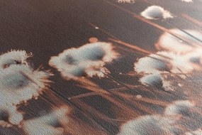 Stampa su tela – Erba di cotone