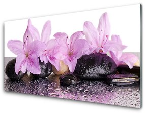 Pannello paraschizzi cucina Fiori di ninfea rosa 100x50 cm