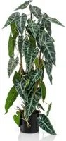 Emerald Alocasia Artificiale 75 cm in Vaso 444648