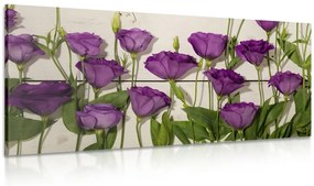 Stampa su tela – Splendidi fiori viola