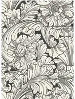Cole & Son Carta da parati Acanthus - Soot & Snow