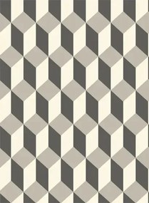 Cole & Son Carta da parati Delano - Grey/ Black