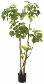 Albero Di Polyscias Artificiale Verde 135 Cm 420292 /