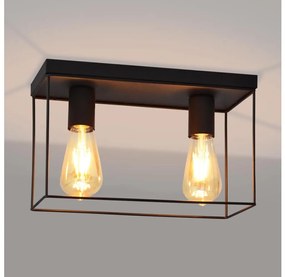 Plafoniera FINN 2xE27/15W/230V nero