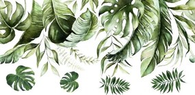 Adesivo murale per interni con il motivo delle foglie della pianta monstera 120 x 240 cm
