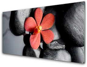 Pannello paraschizzi cucina Pietre di fiori Art 100x50 cm
