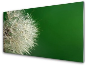 Quadro acrilico Pianta di tarassaco 100x50 cm