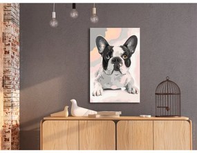 Quadro fai da te  Bulldog francese  Colore Rosa, Dimensioni e Misure 40x60