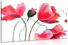 Stampa su tela – Fiori di papavero unici