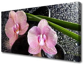 Quadro su tela Fiori di orchidea Orchidea Zen 100x50 cm