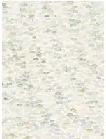 Cole & Son Carta da parati Meditation Stone - Stone