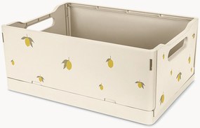 Set di 2 cestini Lemon